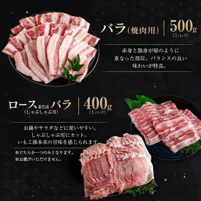 宮崎県えびの市産 いもこ豚 バラエティーセット 計3.2kg