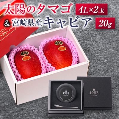 太陽のタマゴ(4L×2玉)と宮崎県産キャビア20g