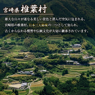 宮崎県産 はちみつ 「椎葉の秘蜜」 中 150g瓶 1個