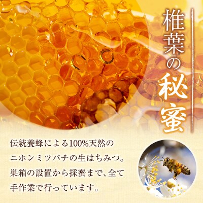 宮崎県産 はちみつ 「椎葉の秘蜜」 大 250g瓶 1個