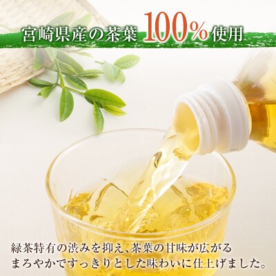 宮崎緑茶 すっきりわかば 500ml×24本 ペットボトル サンA