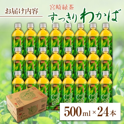 宮崎緑茶 すっきりわかば 500ml×24本 ペットボトル サンA