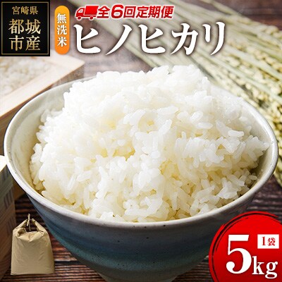 無洗米 ヒノヒカリ 5kg×6回 定期便 宮崎県都城市産 <単一原料米>