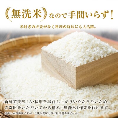 無洗米 ヒノヒカリ 5kg×6回 定期便 宮崎県都城市産 <単一原料米>