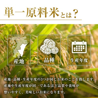無洗米 ヒノヒカリ 5kg×6回 定期便 宮崎県都城市産 <単一原料米>