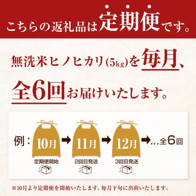 無洗米 ヒノヒカリ 5kg×6回 定期便 宮崎県都城市産 <単一原料米>