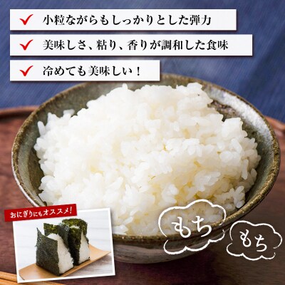 ヒノヒカリ 無洗米 10kg (1袋) 宮崎県都城市産 <単一原料米>