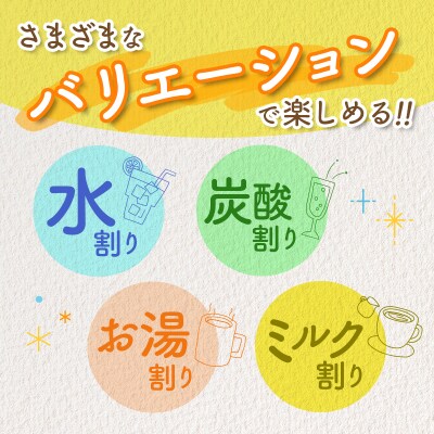 クラフト酵素シロップ グリーンパパイア 250ml×2個 宮崎県産