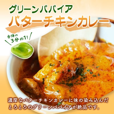 グリーンパパイア レトルト カレー セット 全2種 200g×計4袋 宮崎県産