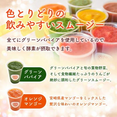南国酵素スムージー グリーンパパイア 200ml×6本 全6種 宮崎県産