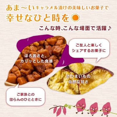 □キャラいもキューブ　プレーン　10袋セット
