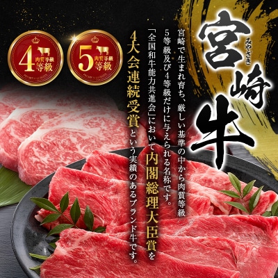 宮崎牛 ビーフジャーキー 10袋 (30g×10袋) おつまみ 宮崎県産