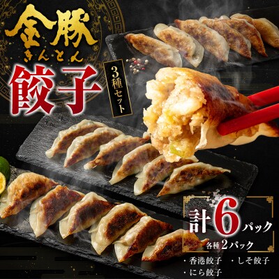 ◇金豚  餃子 3種 セット 計6パック