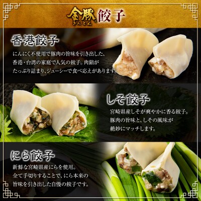 ◇金豚 中華 バラエティセット 全6種  中華まん 餃子