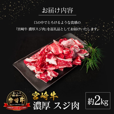 宮崎県産 倉薗牧場 宮崎牛 濃厚スジ肉 約2kg