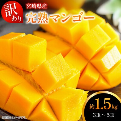 訳あり 完熟 マンゴー 約1.5kg (3玉～5玉) 宮崎県産 果物 フルーツ