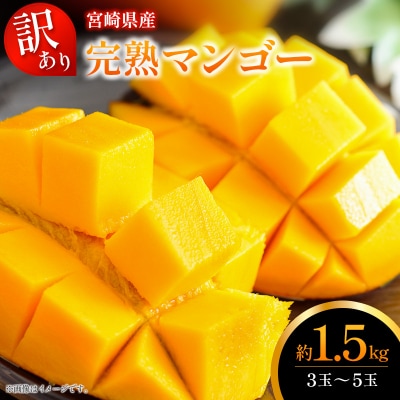 訳あり 完熟 マンゴー 約1.5kg (3玉～5玉) 宮崎県産 果物 フルーツ