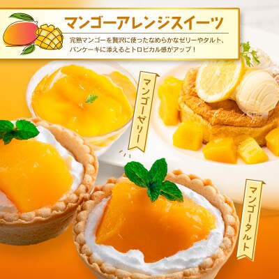 訳あり 完熟 マンゴー 約1.5kg (3玉～5玉) 宮崎県産 果物 フルーツ