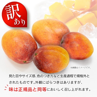 訳あり 完熟 マンゴー 約1.5kg (3玉～5玉) 宮崎県産 果物 フルーツ
