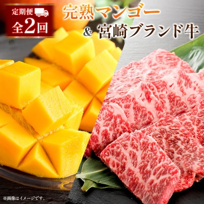 <2027年>定期便 2L×2玉 & 宮崎ブランド牛 計1kg 全2回  牛肉 フルーツ