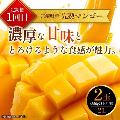 定期便　完熟マンゴー 2L×2玉 & 宮崎ブランド牛 計1kg 全2回 宮崎特産 牛肉 フルーツ