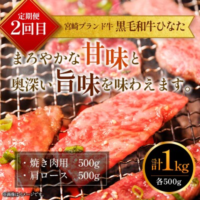 定期便　完熟マンゴー 2L×2玉 & 宮崎ブランド牛 計1kg 全2回 宮崎特産 牛肉 フルーツ
