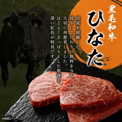 定期便　完熟マンゴー 2L×2玉 & 宮崎ブランド牛 計1kg 全2回 宮崎特産 牛肉 フルーツ