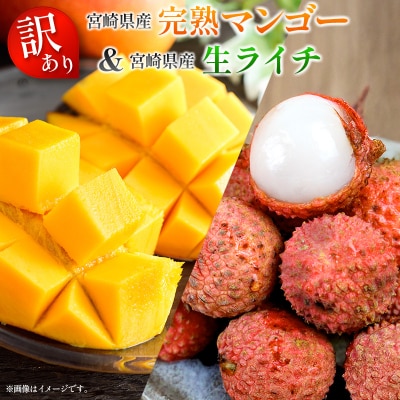 <訳あり> 完熟 マンゴー 約1kg & 生ライチ 300g 果物 フルーツ 宮崎県産 特産 セット