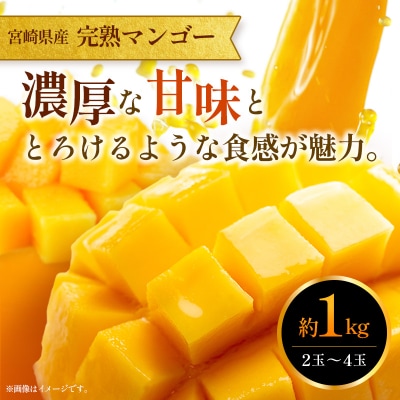 <2027年発送><訳あり> 完熟 マンゴー 約1kg & 生ライチ 300g  宮崎県産  セット