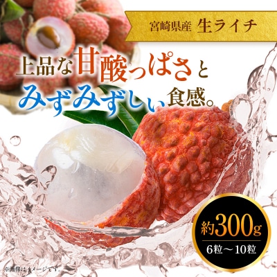 <2027年発送><訳あり> 完熟 マンゴー 約1kg & 生ライチ 300g  宮崎県産  セット