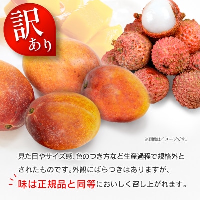 <2027年発送><訳あり> 完熟 マンゴー 約1kg & 生ライチ 300g  宮崎県産  セット