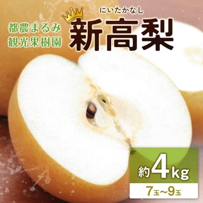 新高梨(にいたかなし) 約4kg 7玉～9玉 天然ミネラル栽培 ナシ フルーツ 果物 くだもの 旬 
