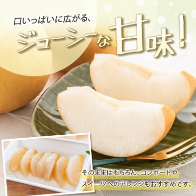 新高梨(にいたかなし) 約4kg 7玉～9玉 天然ミネラル栽培 ナシ フルーツ 果物 くだもの 旬 