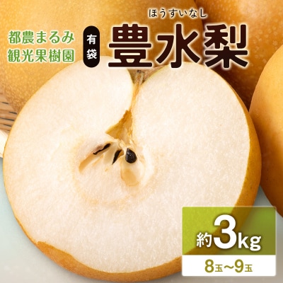 有袋・豊水梨(ほうすいなし)約3kg 8玉～9玉 天然ミネラル栽培 ナシ フルーツ 果物 くだもの 