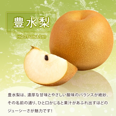 有袋・豊水梨(ほうすいなし)約3kg 8玉～9玉 天然ミネラル栽培 ナシ フルーツ 果物 くだもの 