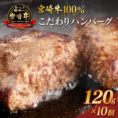 宮崎牛100% こだわり ハンバーグ 120g×10個 国産 黒毛和牛 惣菜