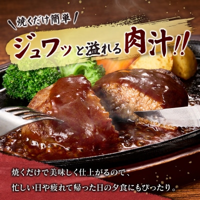 宮崎牛100% こだわり ハンバーグ 120g×10個 国産 黒毛和牛 惣菜