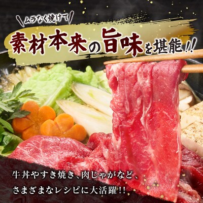 宮崎牛 切り落とし 800g すき焼き 焼き肉 炒め物 国産 牛肉 宮崎県産 4等級以上