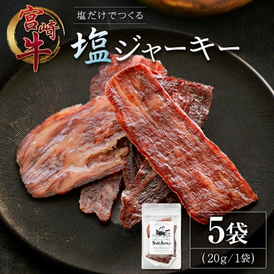 塩だけでつくる 宮崎牛 塩ジャーキー 5袋(20g×5袋)ブランド牛 ビーフジャーキー おつまみ