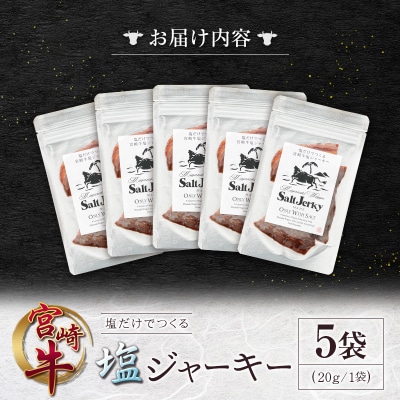 塩だけでつくる 宮崎牛 塩ジャーキー 5袋(20g×5袋)ブランド牛 ビーフジャーキー おつまみ