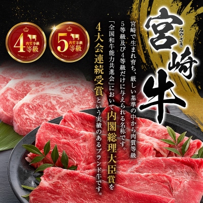 塩だけでつくる 宮崎牛 塩ジャーキー 5袋(20g×5袋)ブランド牛 ビーフジャーキー おつまみ