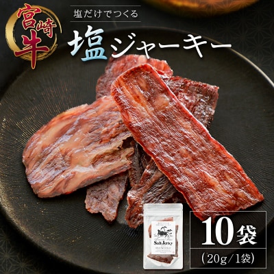 塩だけでつくる 宮崎牛 塩ジャーキー 10袋(20g×10袋)ブランド牛 ビーフジャーキー おつまみ