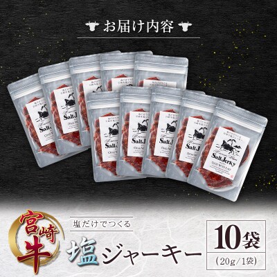塩だけでつくる 宮崎牛 塩ジャーキー 10袋(20g×10袋)ブランド牛 ビーフジャーキー おつまみ