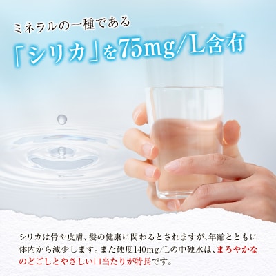 シリカ 天然水 霧島のおいしい水 2L 12本 中硬水 ミネラルウォーター シリカ水 ケイ素