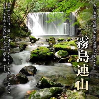 【定期便】 天然シリカ水 細野の天然水 555ml 24本 10回 中硬水 ミネラルウォーター