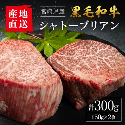 【産地直送】宮崎県産 黒毛和牛 シャトーブリアン ステーキ 2枚