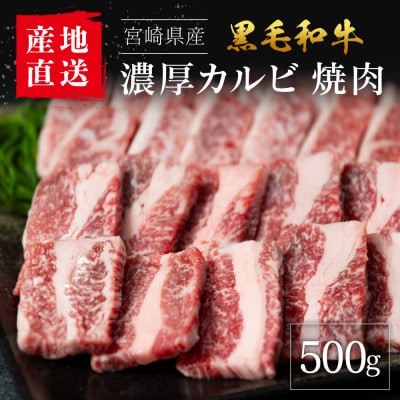 【産地直送】宮崎県産 黒毛和牛 濃厚カルビ 焼肉 500g
