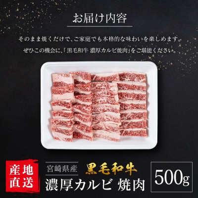 【産地直送】宮崎県産 黒毛和牛 濃厚カルビ 焼肉 500g