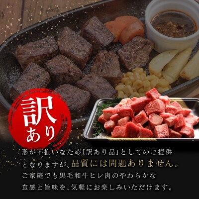 【訳あり・直売品】宮崎県産 黒毛和牛 まかない ヒレ サイコロステーキ 500g