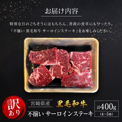 【訳あり・直売品】宮崎県産 黒毛和牛 レストランの不揃いサーロインステーキ 4～5枚程度